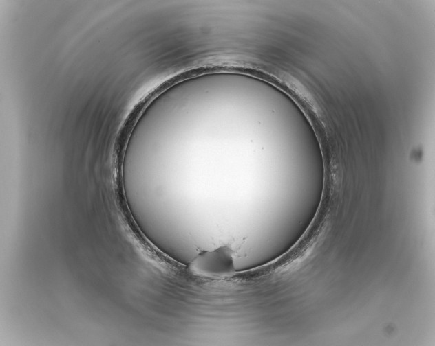 X0000093380981200711011246