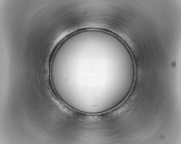 X0000093380982200711011246