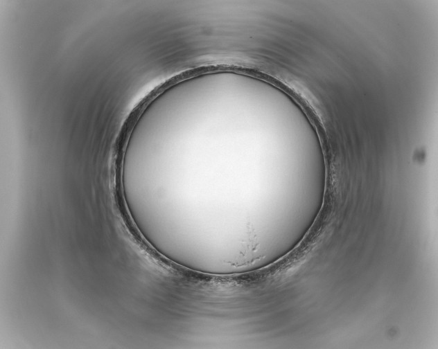 X0000093380983200711011246