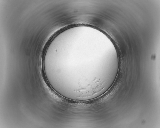 X0000093380984200711011246