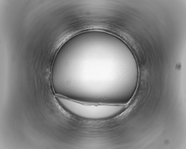 X0000093380985200711011246