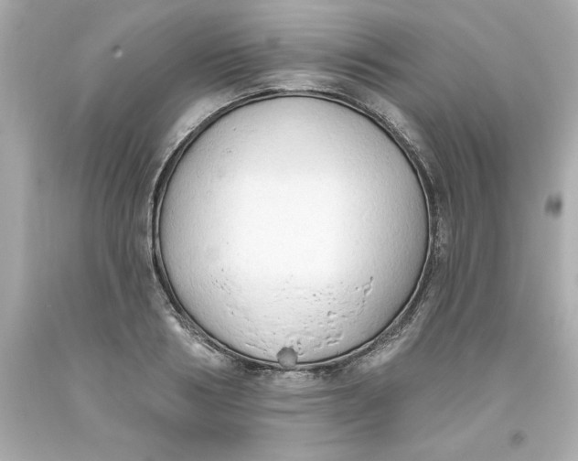 X0000093380986200711011246