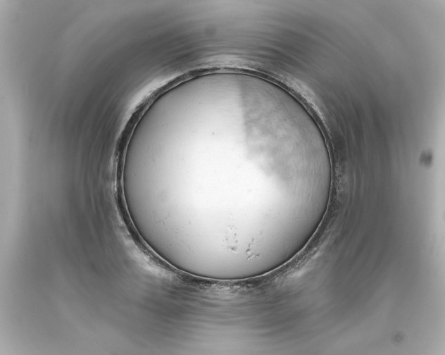 X0000093380987200711011246