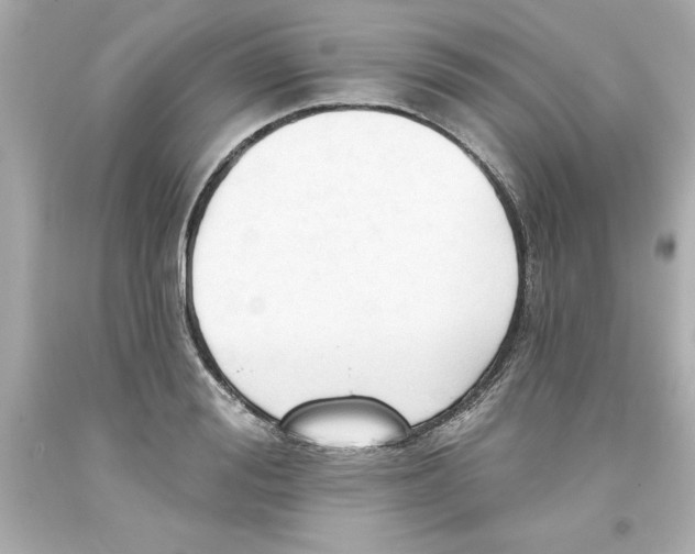 X0000093380988200711011246