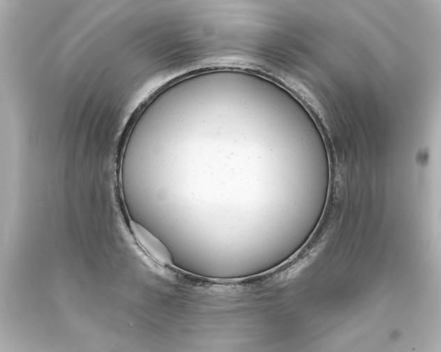 X0000093380989200711011246