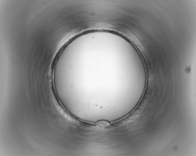 X0000093380990200711011246