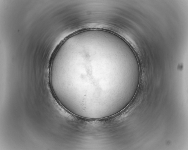 X0000093380992200711011246