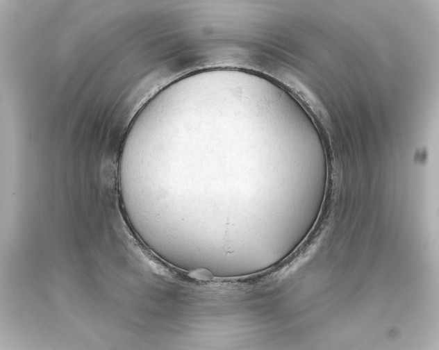 X0000093380993200711011246