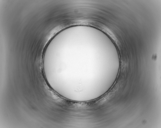 X0000093380994200711011246