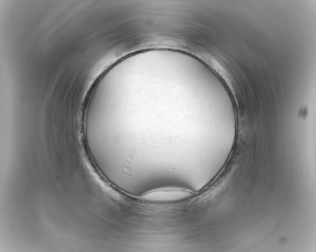 X0000093380997200711011246