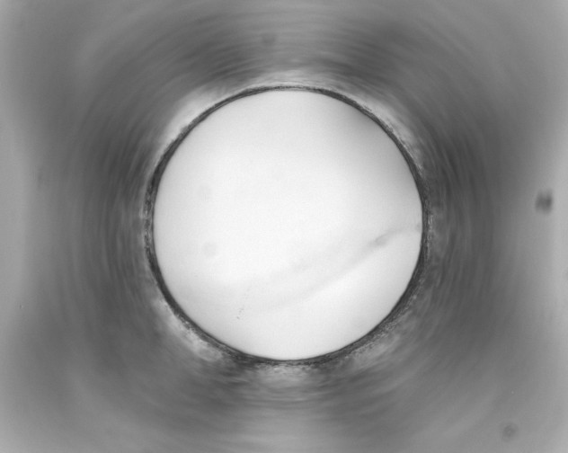 X0000093380998200711011246