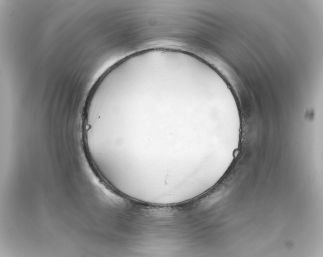 X0000093380999200711011246