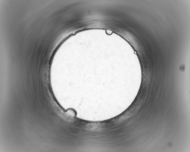 X0000093381000200711011246