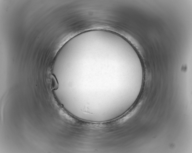 X0000093381001200711011246