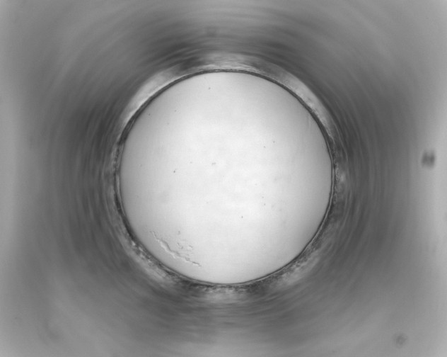 X0000093381002200711011246