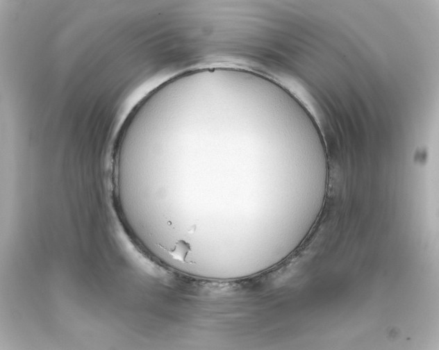 X0000093381003200711011246