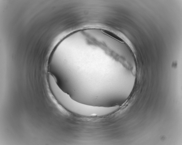 X0000093381005200711011246