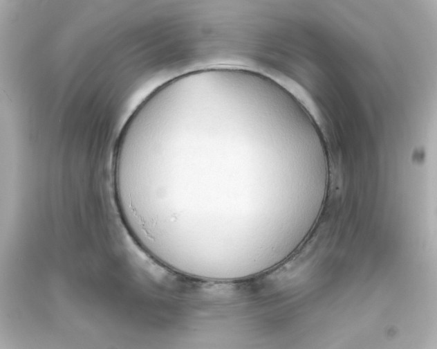 X0000093381006200711011246