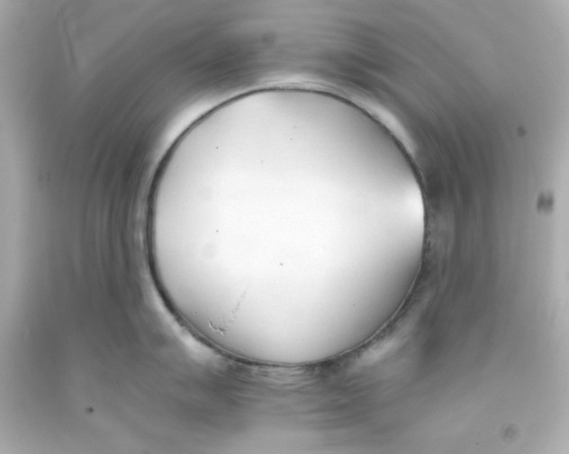 X0000093381007200711011246