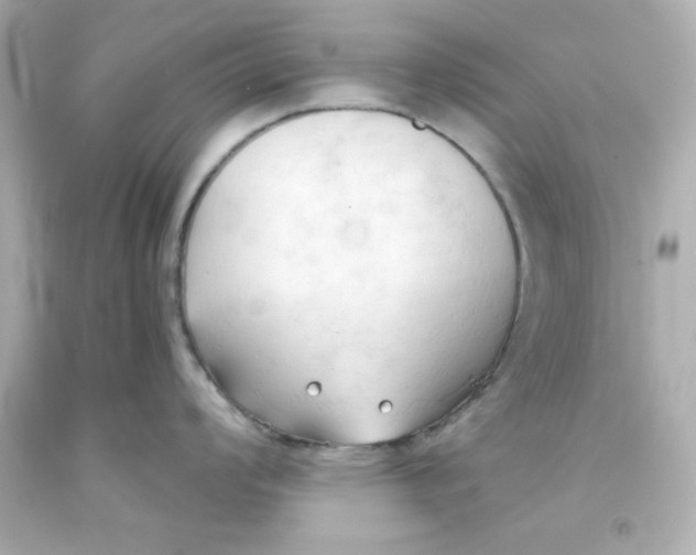 X0000093381008200711011246