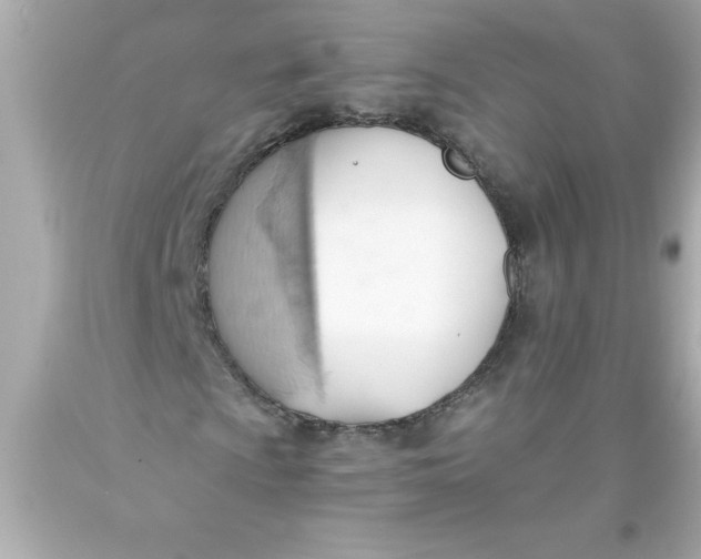 X0000093381009200711011245