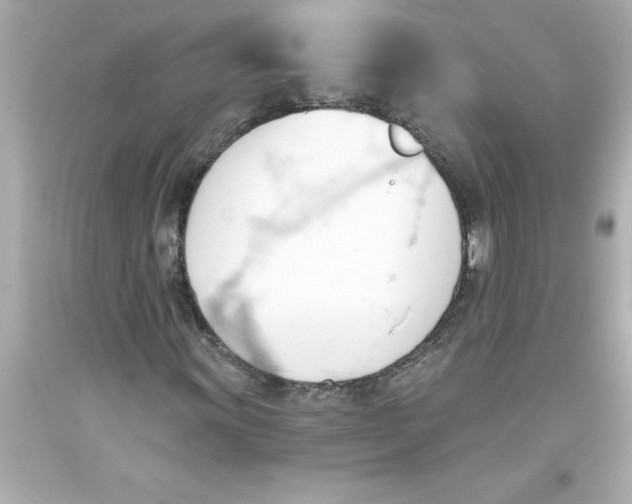 X0000093381011200711011245