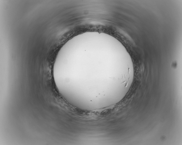 X0000093381013200711011245