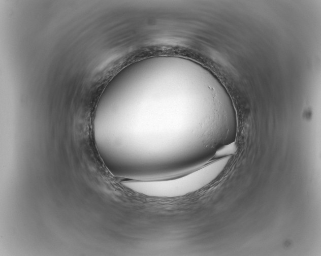 X0000093381014200711011245