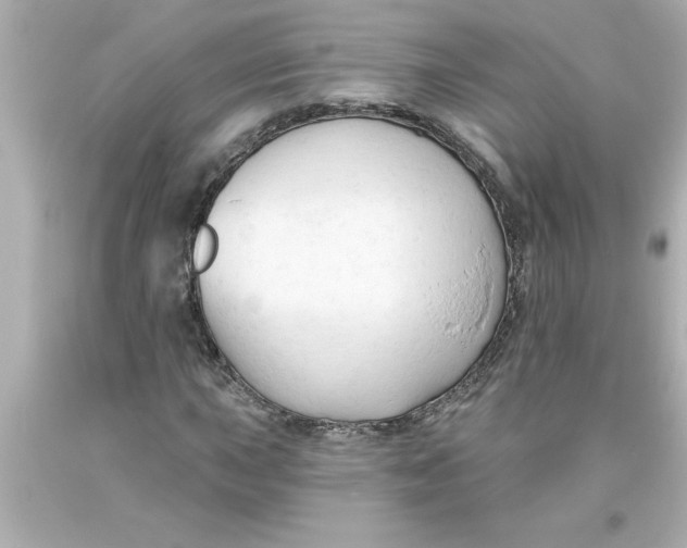 X0000093381015200711011245