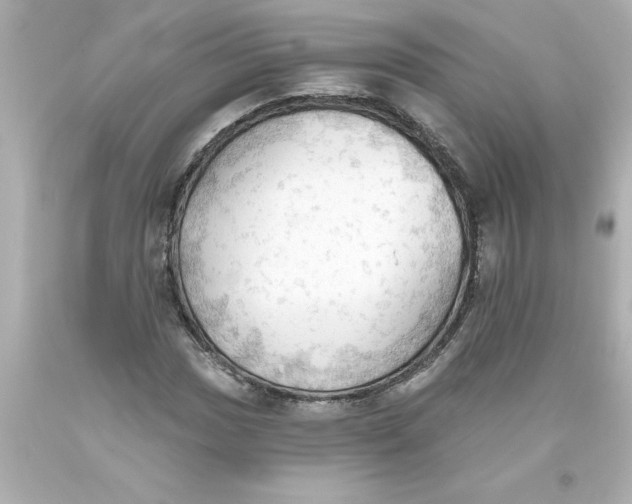 X0000093381017200711011245