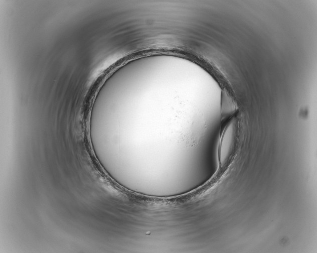 X0000093381018200711011245