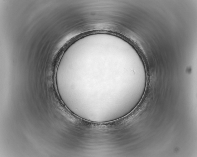 X0000093381019200711011245