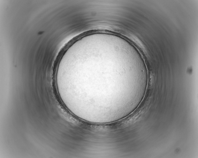 X0000093381020200711011245