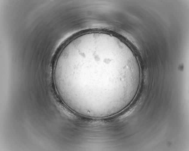 X0000093381021200711011245