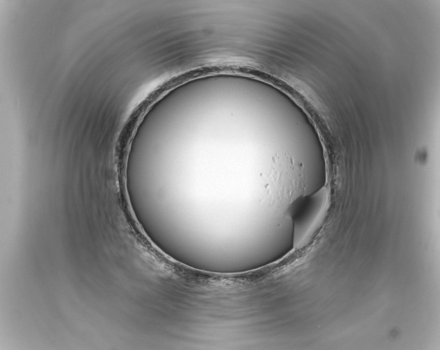 X0000093381022200711011245