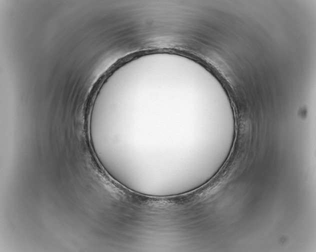 X0000093381023200711011245