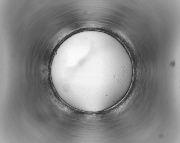 X0000093381025200711011245