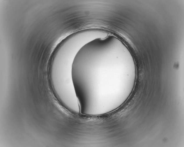 X0000093381026200711011245