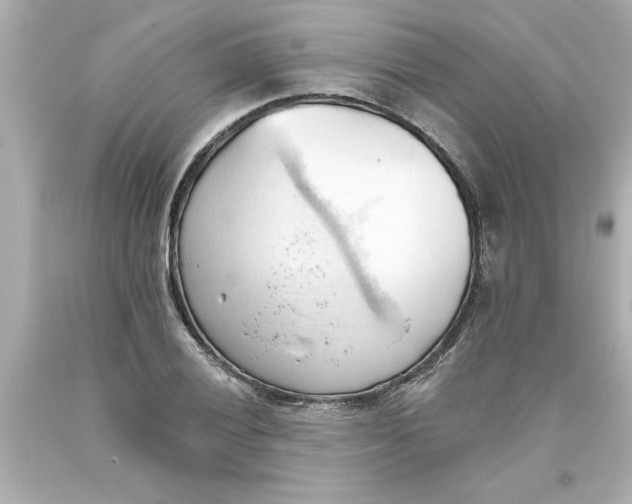 X0000093381028200711011245