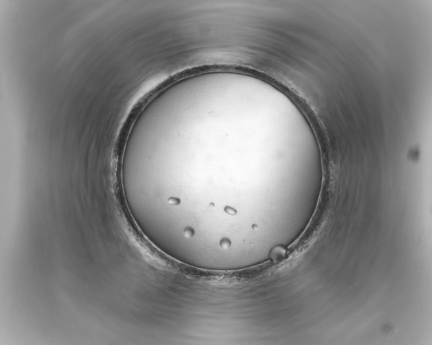 X0000093381029200711011245