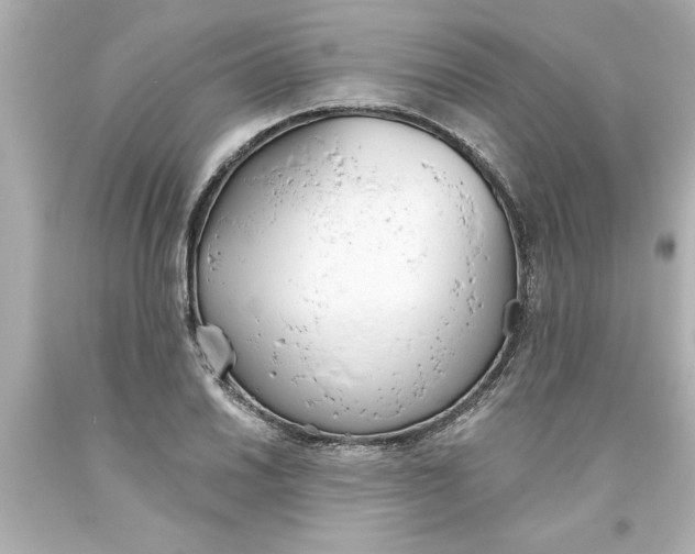 X0000093381030200711011245