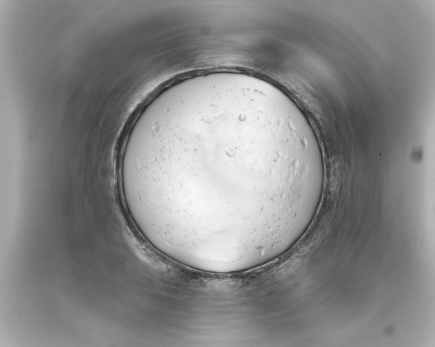 X0000093381031200711011245