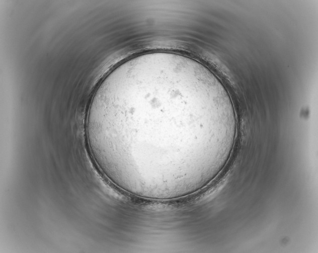 X0000093381033200711011245