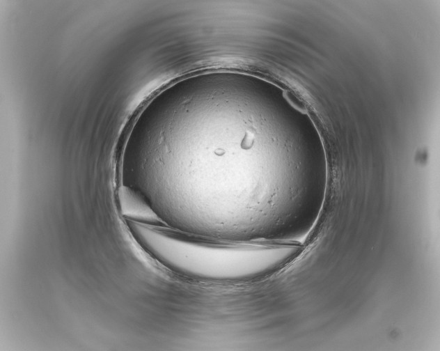 X0000093381034200711011245