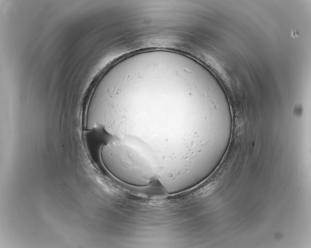 X0000093381035200711011245