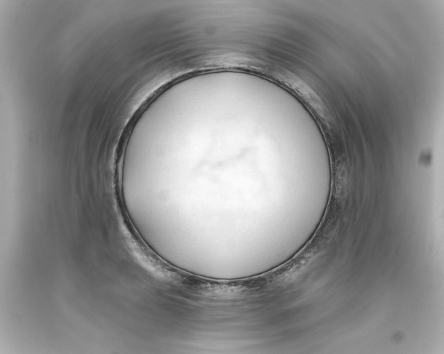 X0000093381039200711011245