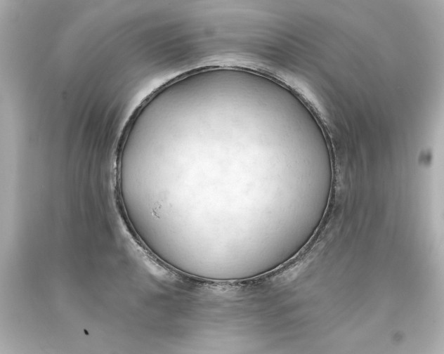 X0000093381040200711011245