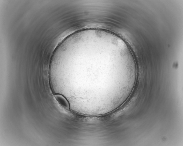 X0000093381041200711011246