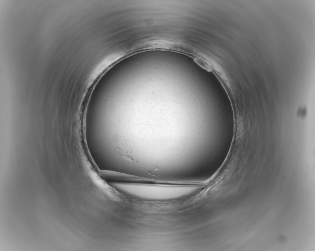 X0000093381042200711011246