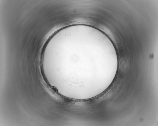 X0000093381043200711011246